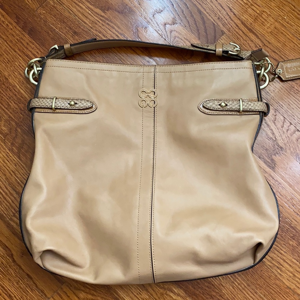 Coach Snakeskin Colette Hobo